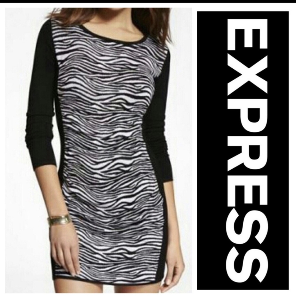 Like New Express Colorblock Zebra Sweater Dress